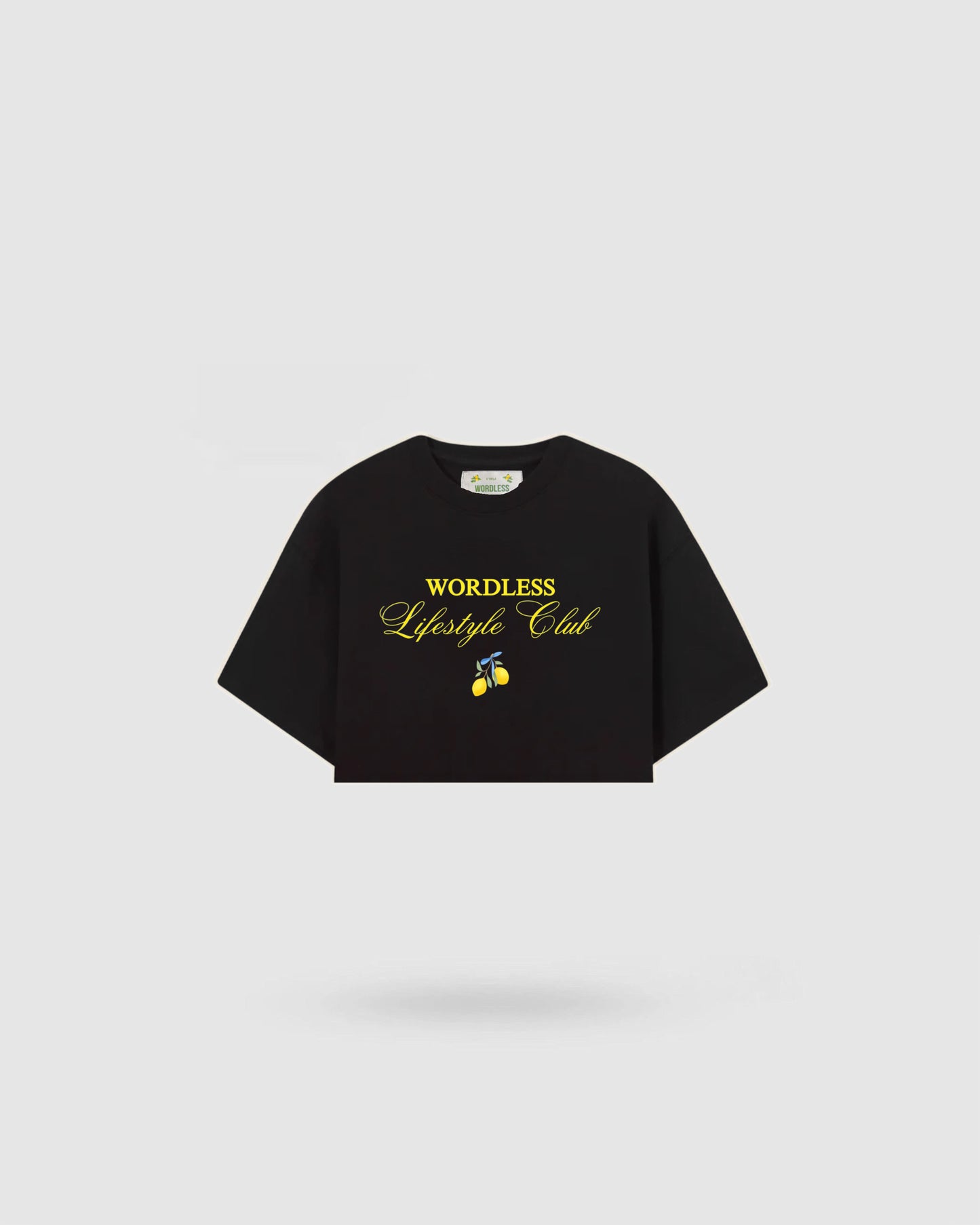 WORDLESS WOMANS LEOMON CLUB ULTRA-BOXY TEE 300