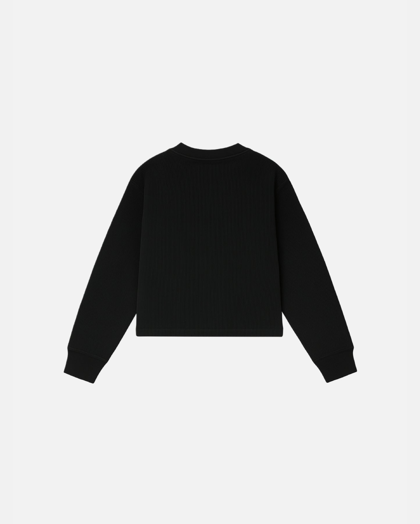 WORDLESS ICONIC Minimal Ribbed Cropped Longsleeve Tee