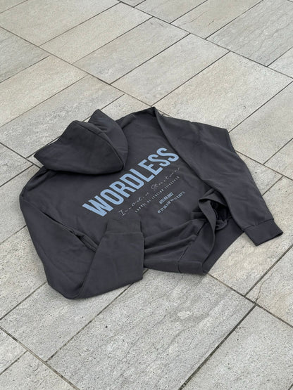 WORDLESS INNOVATIVE HOODY 520